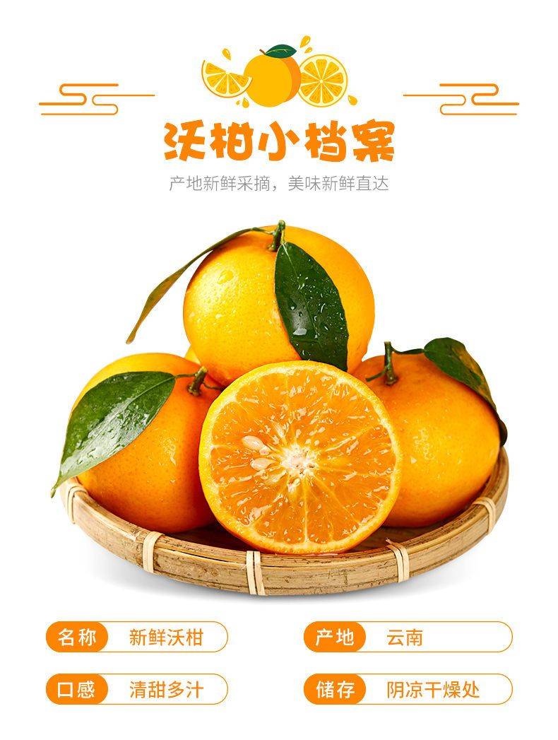 沃柑小檔案 沃柑小檔案