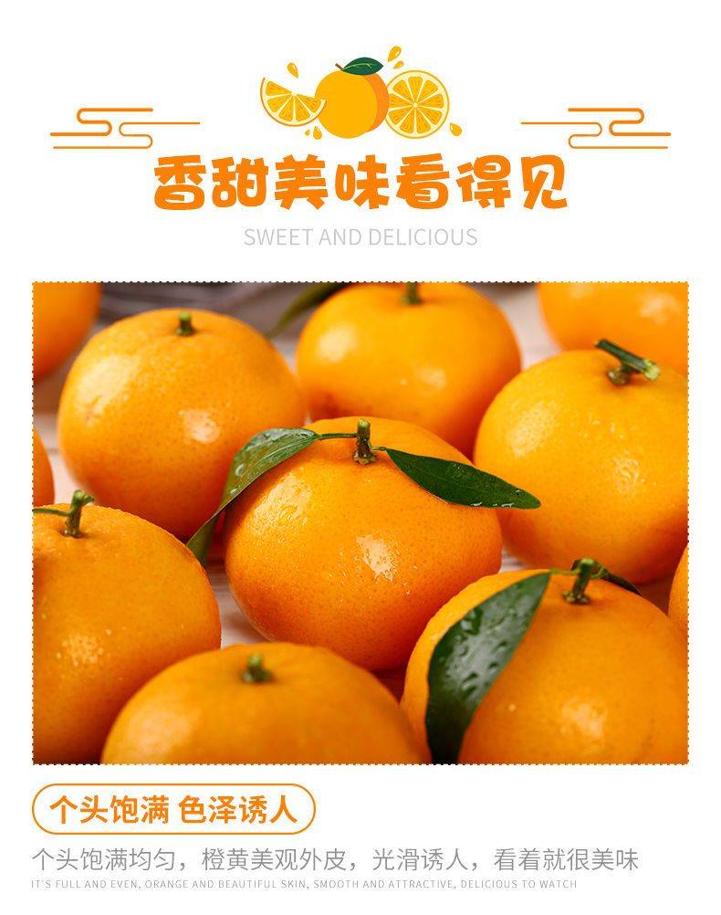 個頭飽滿 色澤誘人 個頭飽滿 色澤誘人