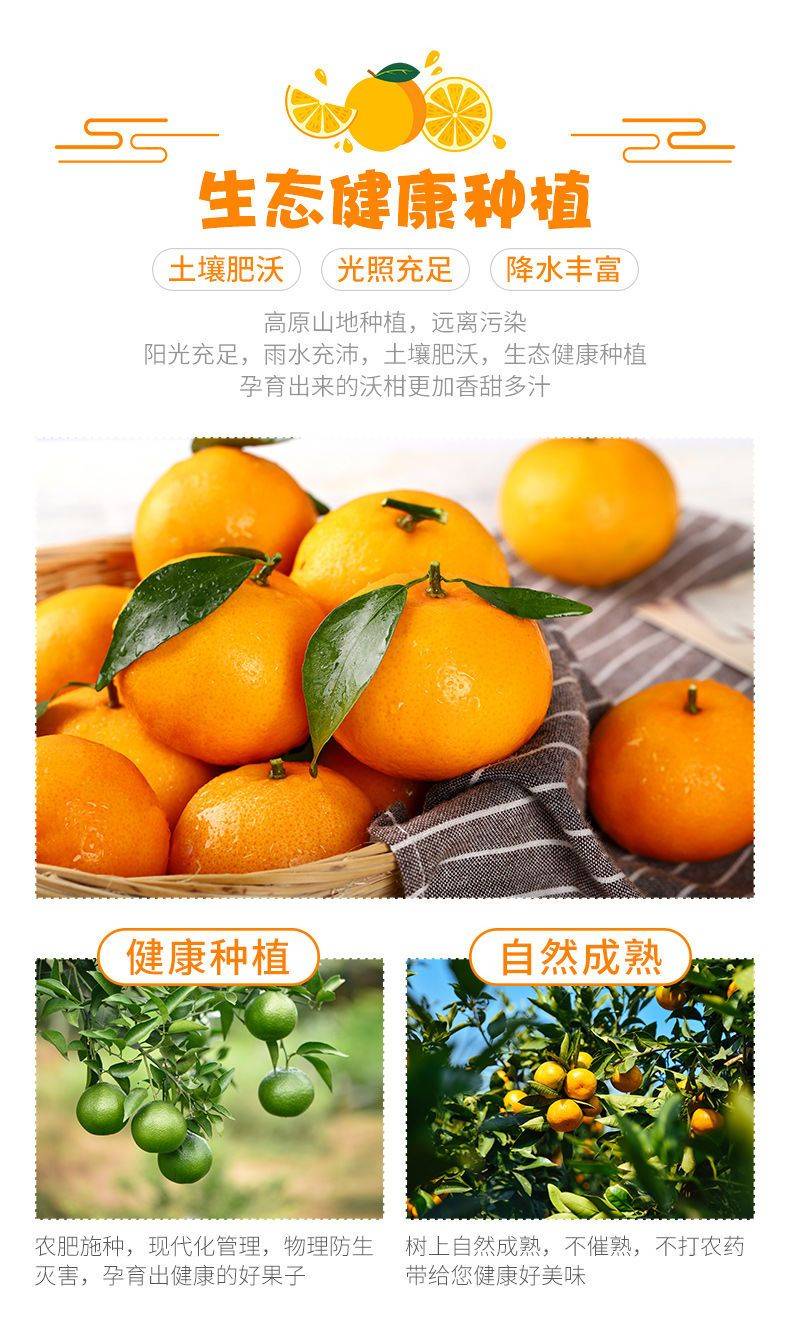 生態健康種植 生態健康種植