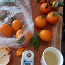 高達15.6甜度的現摘沃柑